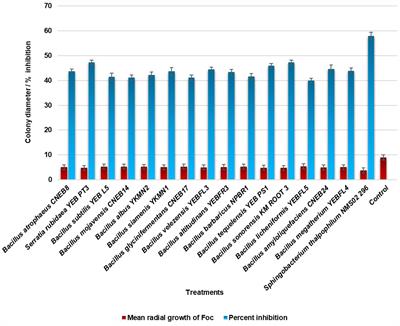 Insights on mining the pangenome of Sphingobacterium thalpophilum NMS02 S296 from the resistant banana cultivar Pisang lilin confirms the antifungal action against Fusarium oxysporum f. sp. cubense